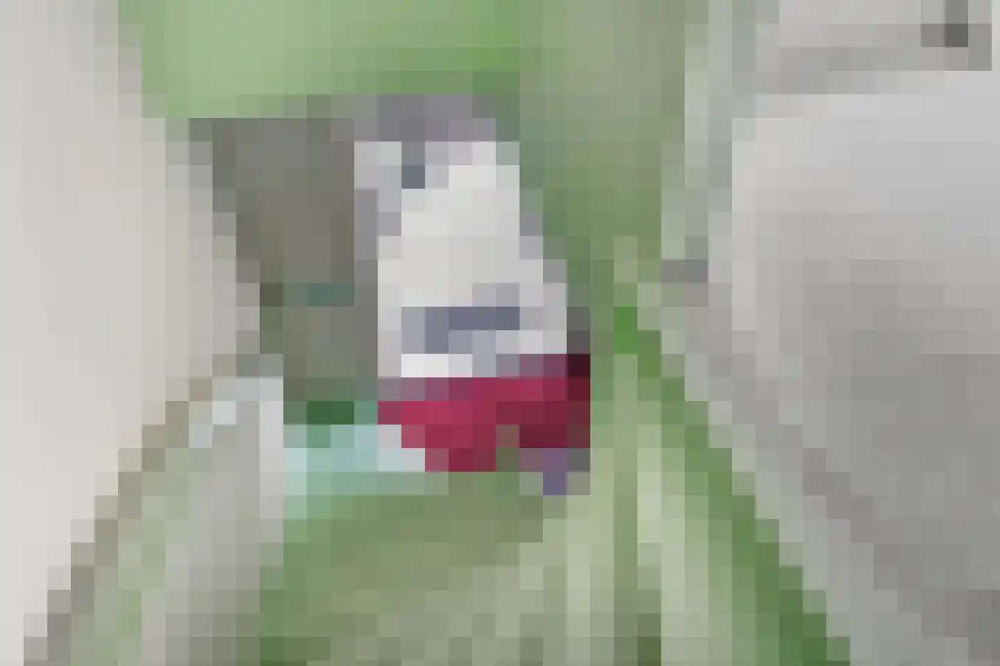 Tsjerkestrjitte 2 Ternaard thumbnail 31