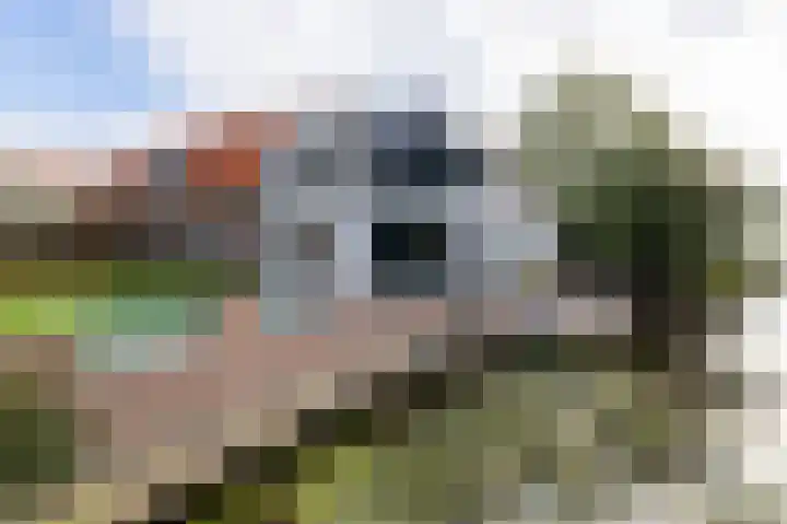 Tsjerkewei 11 Elahuizen