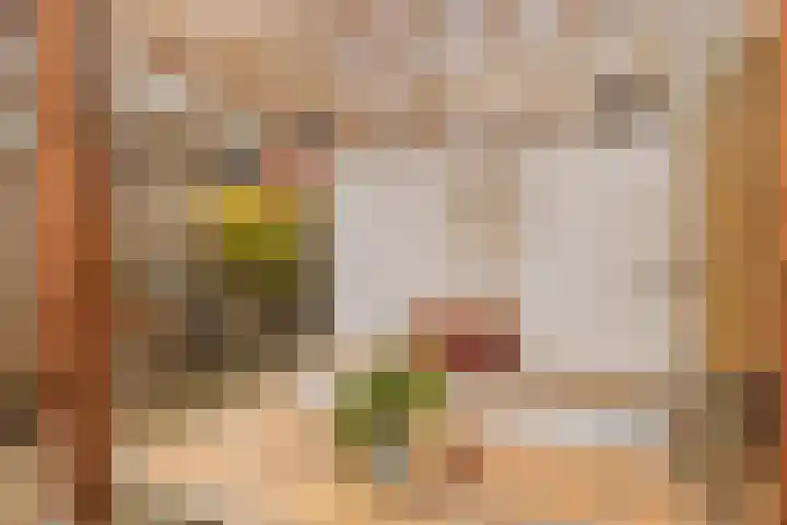 Tugelastraat 49 Haarlem thumbnail 25