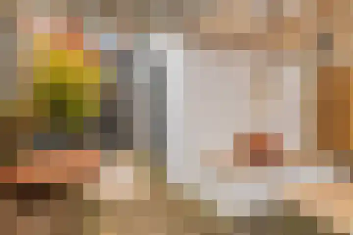 Tugelastraat 49 Haarlem thumbnail 27