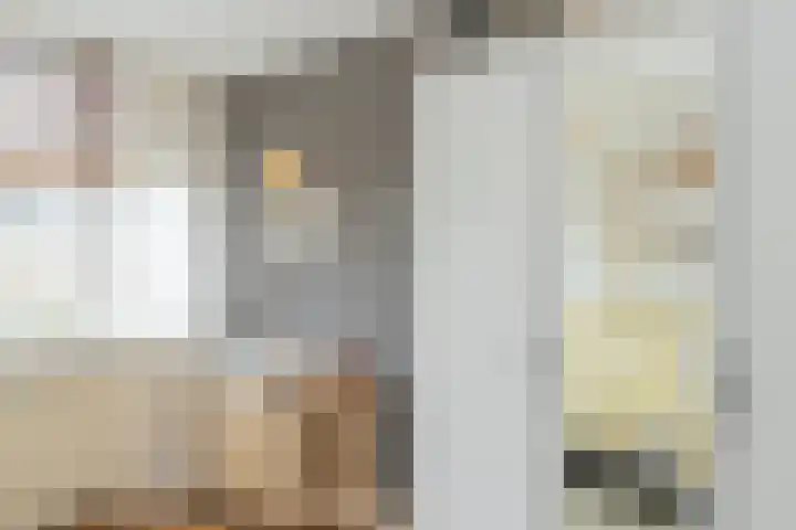 Tugelastraat 49 Haarlem thumbnail 30