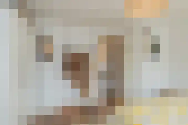 Tugelastraat 49 Haarlem thumbnail 31