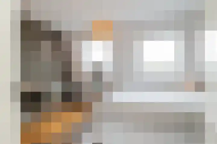 Tugelastraat 49 Haarlem thumbnail 40