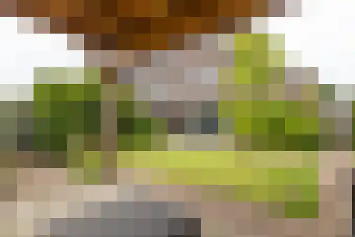 Tuikwerd 65 Groningen thumbnail 38
