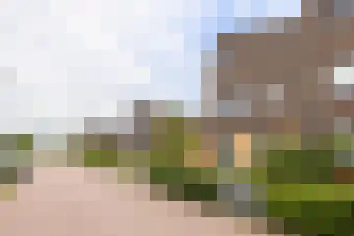 Tuikwerd 65 Groningen thumbnail 39