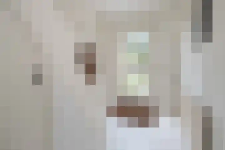 Tuilland 11 Doorn thumbnail 13
