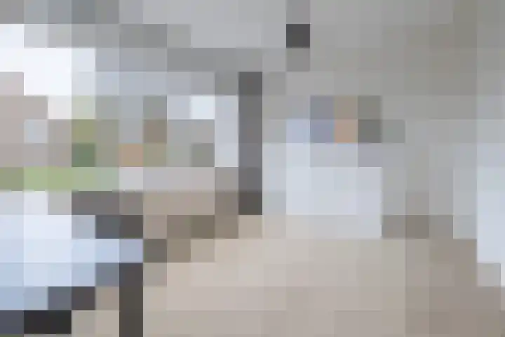 Tuilland 11 Doorn thumbnail 20