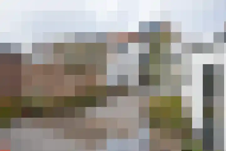 Tuilland 11 Doorn thumbnail 32