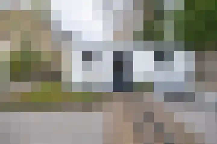 Tuilland 11 Doorn thumbnail 35