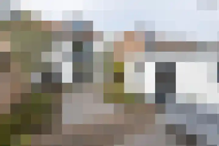 Tuilland 11 Doorn thumbnail 37