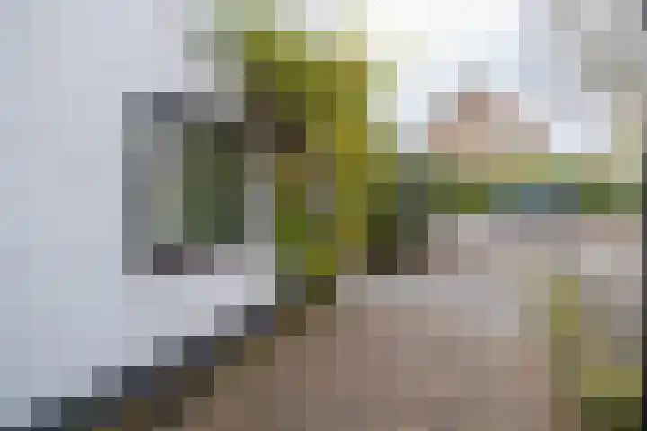 Tuilland 11 Doorn thumbnail 39