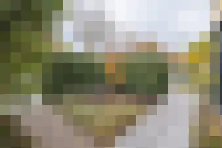 Tuilland 11 Doorn thumbnail 40
