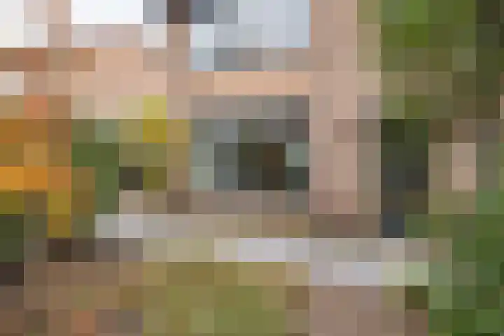 Tuilland 11 Doorn thumbnail 41