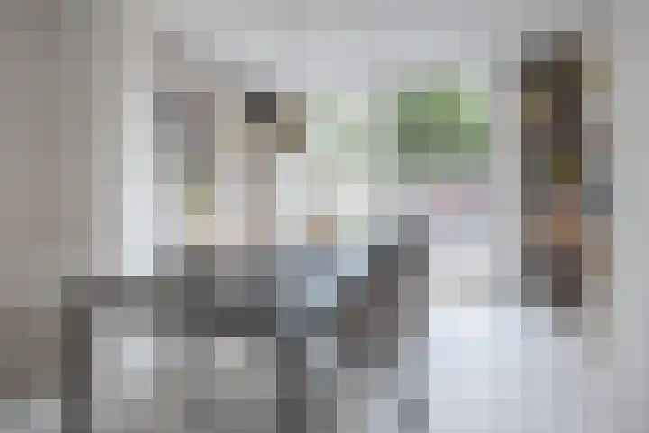 Tuilland 11 Doorn thumbnail 7