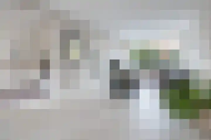 Tuilland 11 Doorn thumbnail 9
