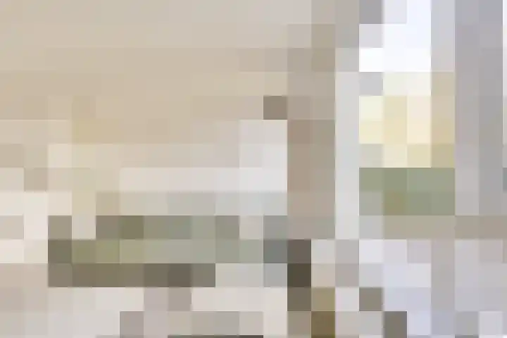 Tuilland 2 a Doorn thumbnail 14