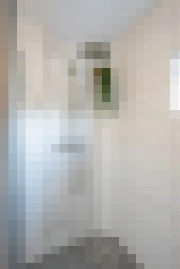 Tuilland 2 a Doorn thumbnail 29