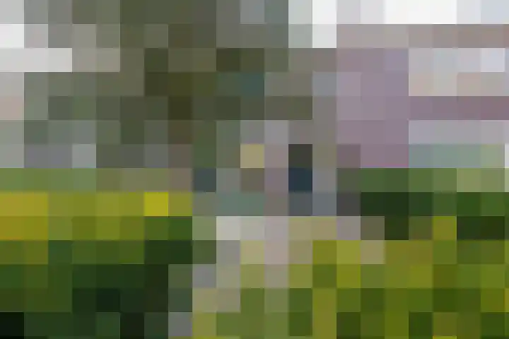 Tuilland 2 a Doorn thumbnail 37