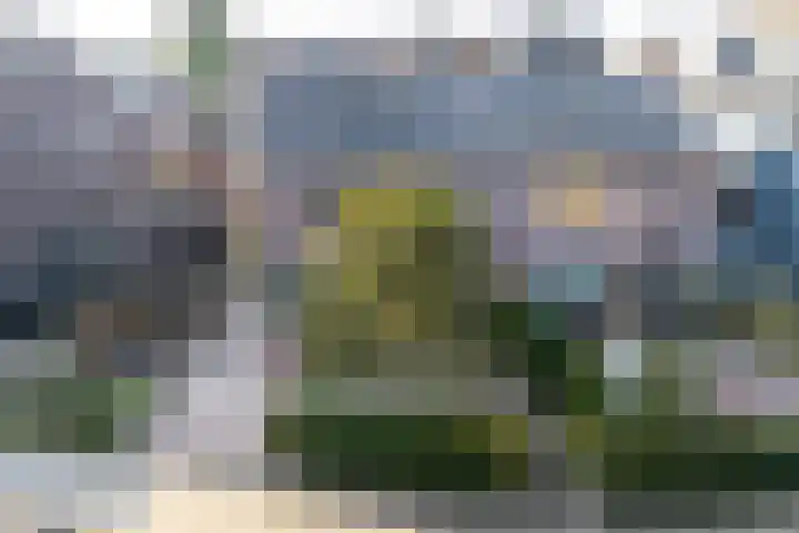 Tuilland 2 a Doorn thumbnail 40