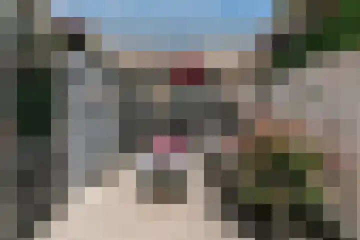 Tuin 12 Aalsmeer thumbnail 30