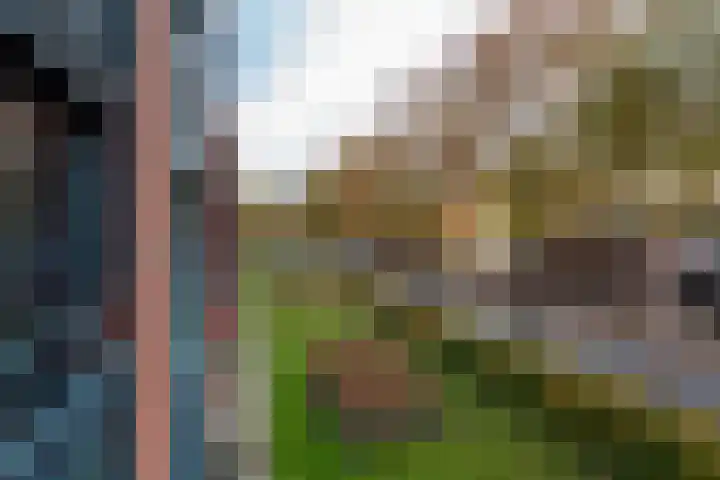 Tuin van Schellinger 22 Zeist thumbnail 26