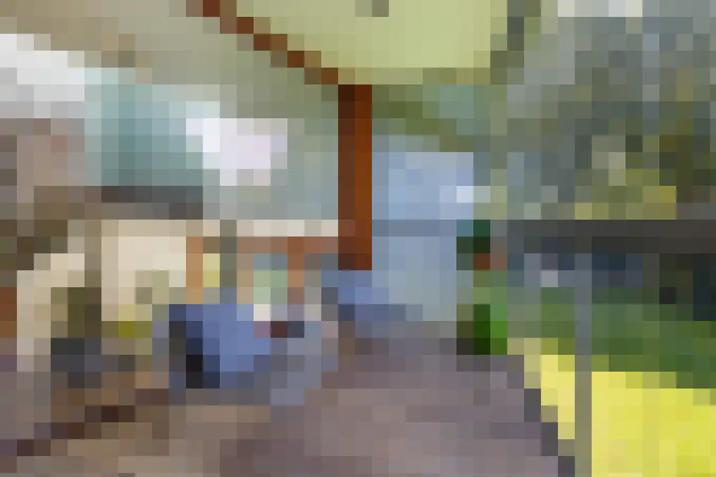 Tuinderij 11 Harmelen thumbnail 15