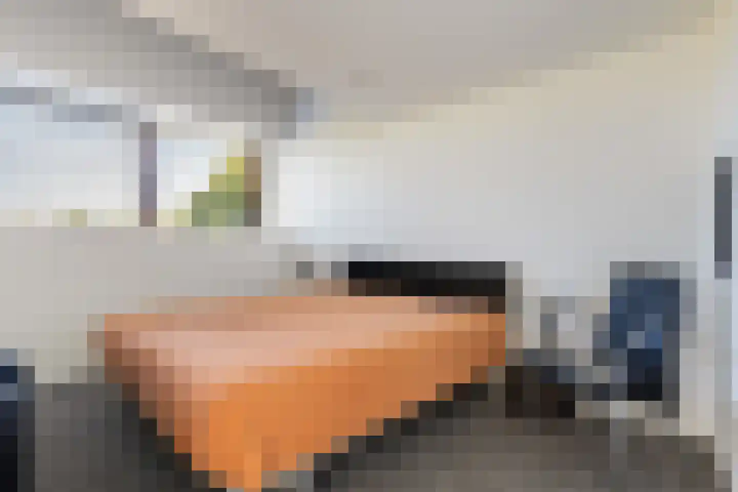 Tuinderij 11 Harmelen thumbnail 25
