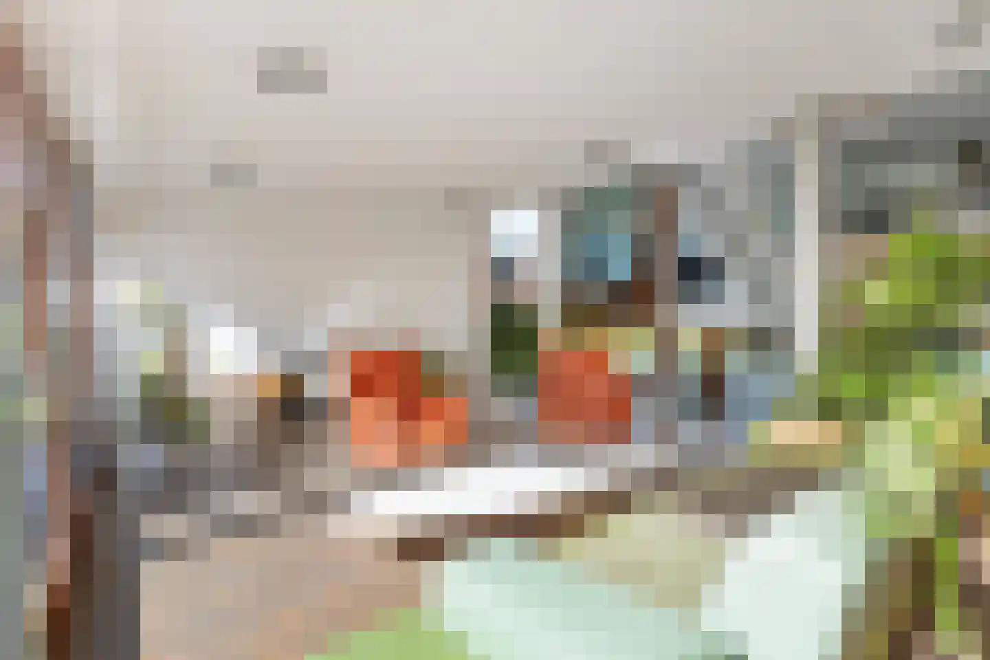 Tuinderij 11 Harmelen thumbnail 6