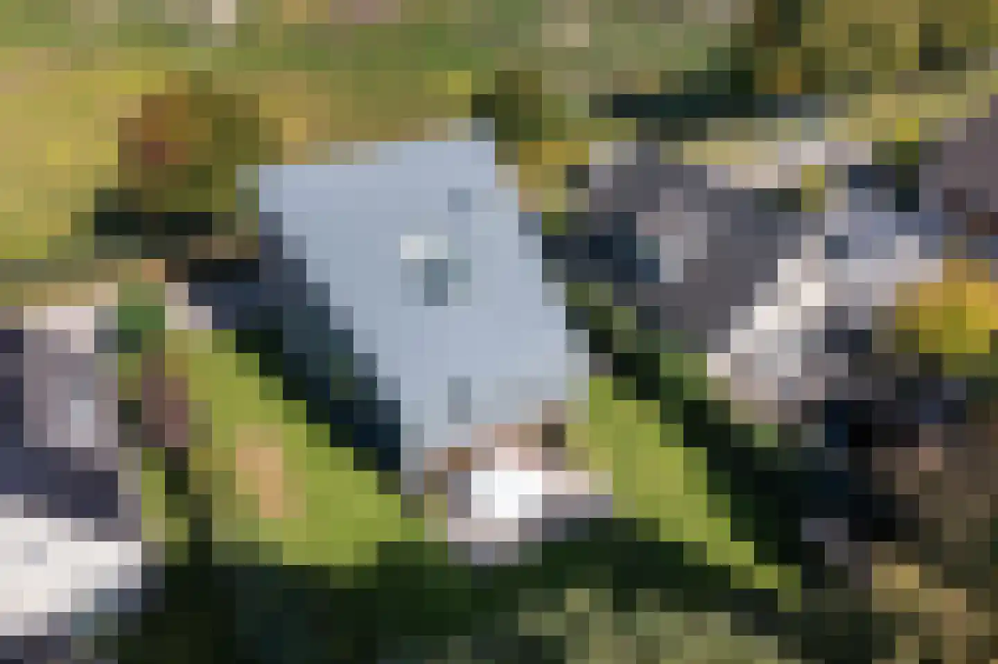 Tuinderij 11 Harmelen thumbnail 62