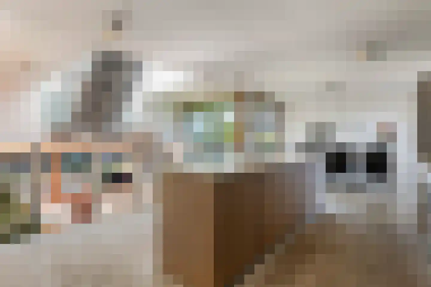 Tuinderij 11 Harmelen thumbnail 8