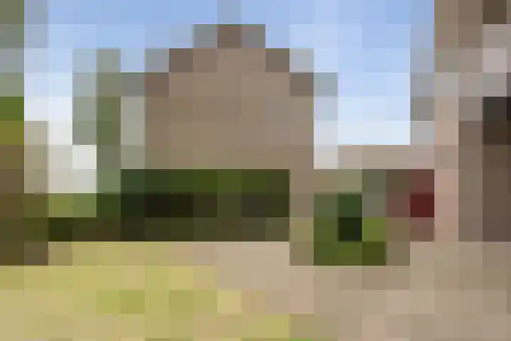 Tuinderserf 5 Arnhem thumbnail 11