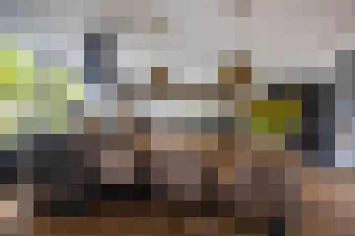 Tuinderserf 5 Arnhem thumbnail 12