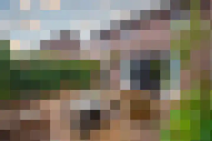 Tuinderserf 5 Arnhem foto 2