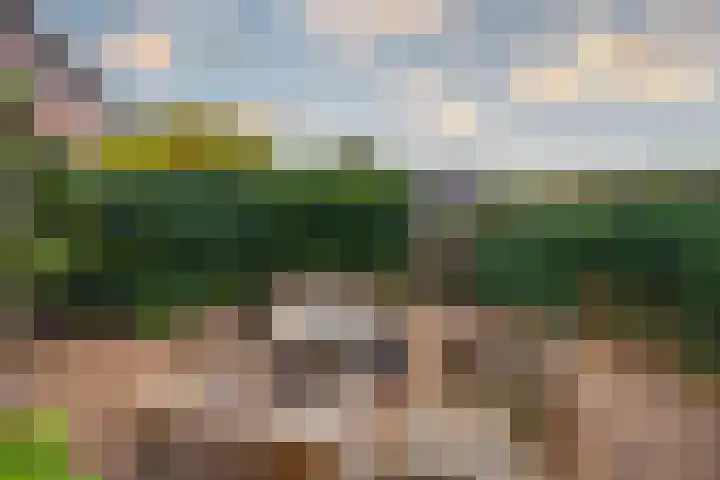 Tuinderserf 5 Arnhem thumbnail 24
