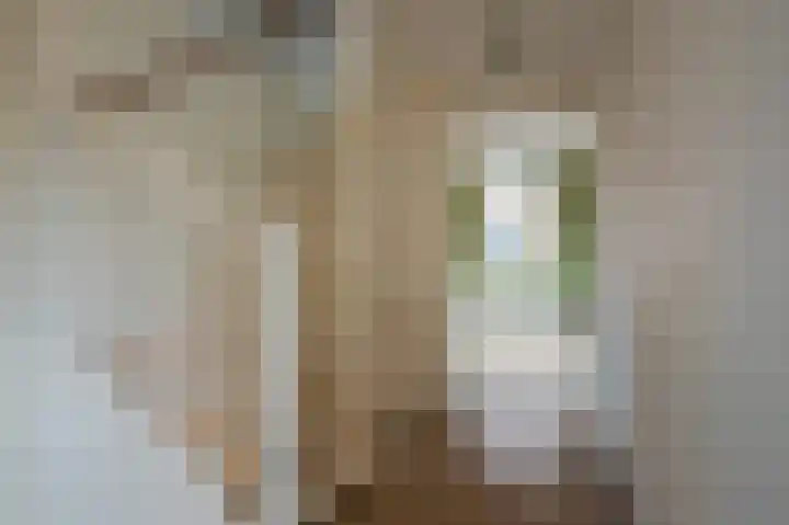 Tuinderserf 5 Arnhem thumbnail 28