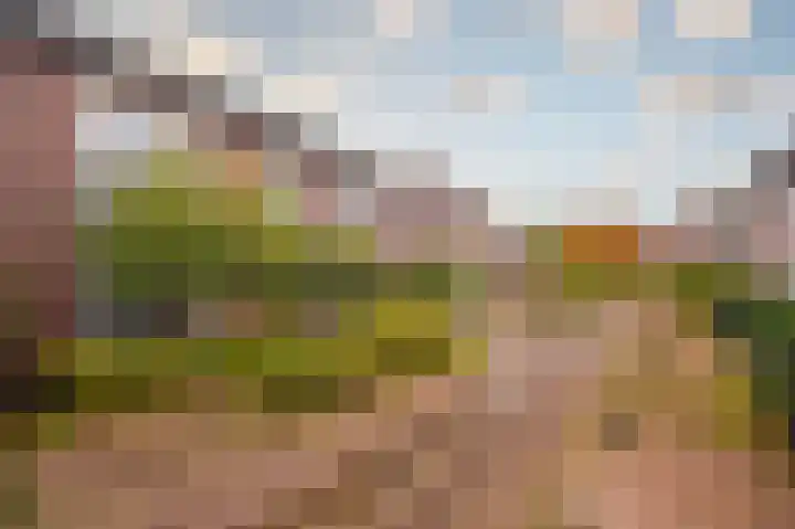 Tuinderserf 5 Arnhem thumbnail 9