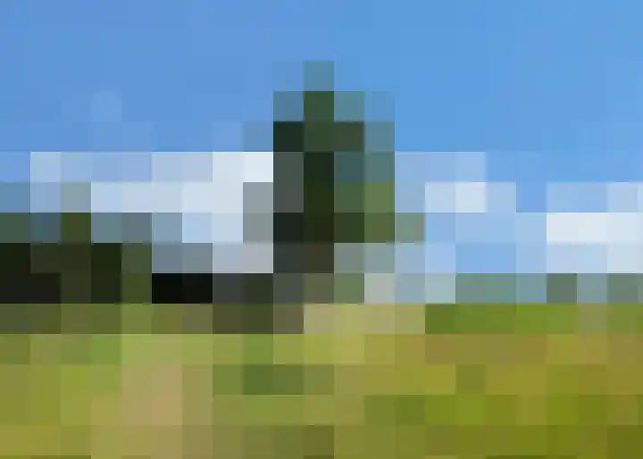 Tuinderspad 142 Alkmaar thumbnail 29