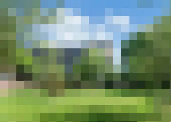 Tuinderspad 142 Alkmaar thumbnail 31