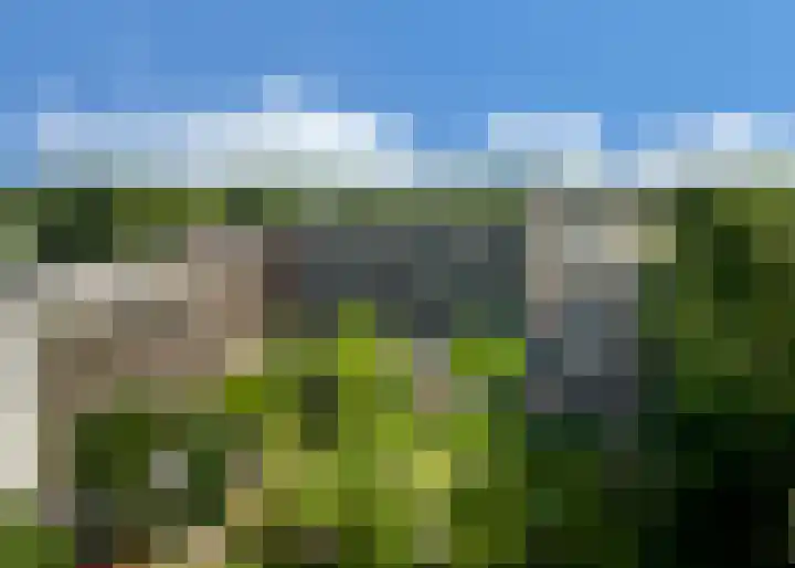 Tuinderspad 142 Alkmaar thumbnail 32
