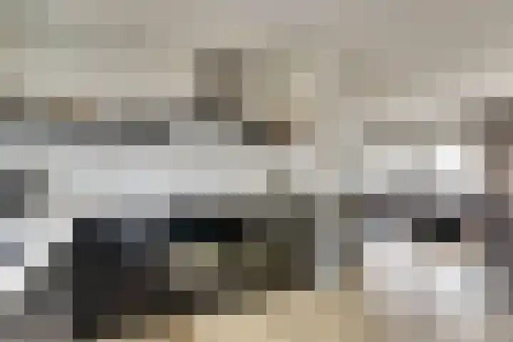Tuinderspad 3 Schermerhorn thumbnail 12