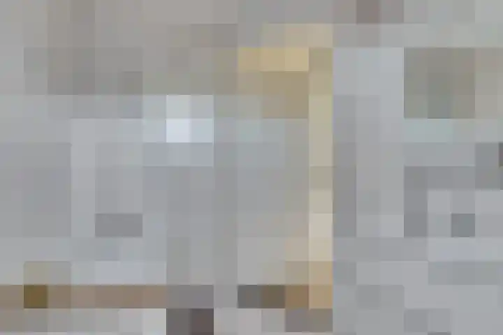 Tuinderspad 3 Schermerhorn thumbnail 21