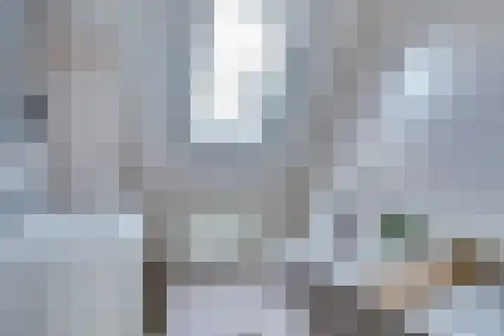 Tuinderspad 3 Schermerhorn thumbnail 22