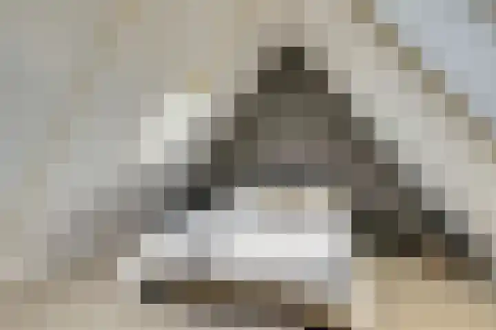 Tuinderspad 3 Schermerhorn thumbnail 25