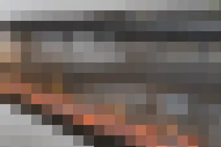 Tuinderspad 3 Schermerhorn thumbnail 30