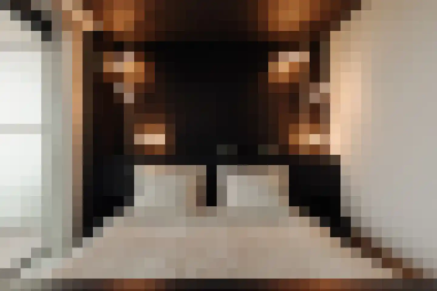 Tuinderspad 3 Schermerhorn thumbnail 32