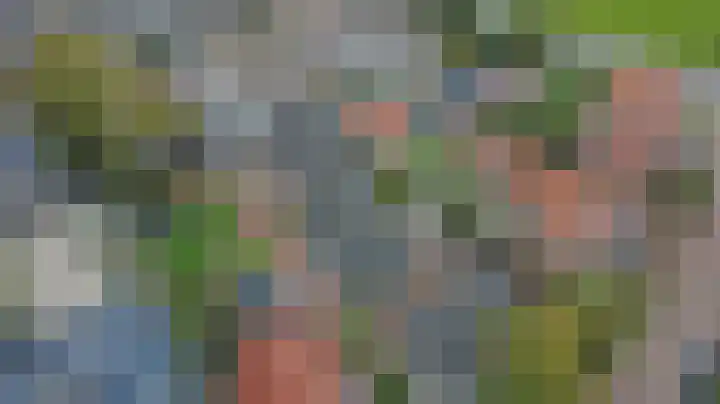 Tuinderspad 3 Schermerhorn thumbnail 34