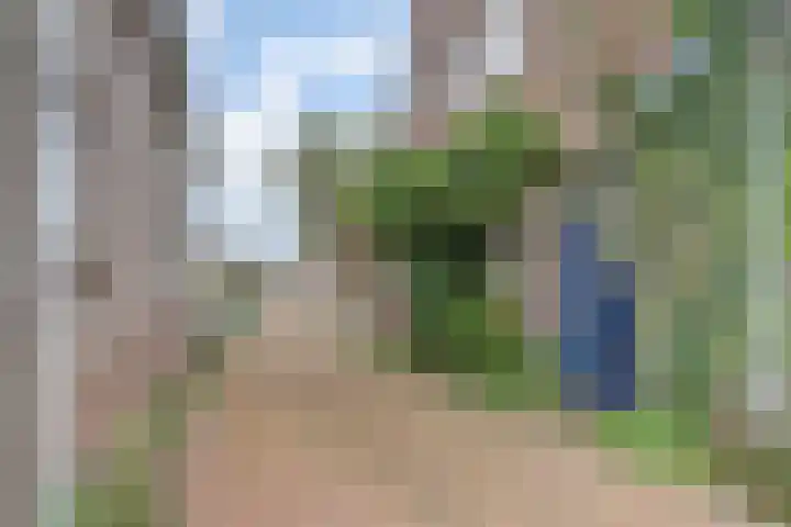 Tuinderspad 3 Schermerhorn thumbnail 38