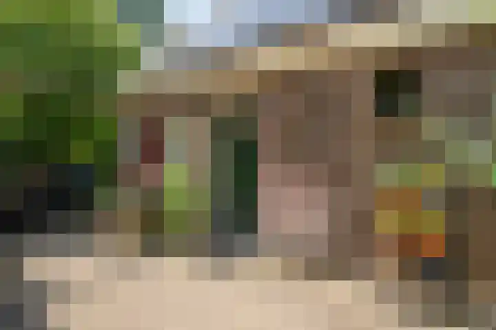 Tuinderspad 3 Schermerhorn thumbnail 39