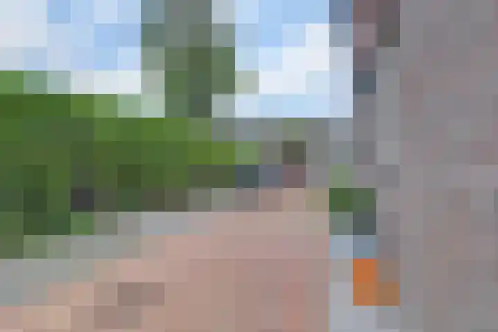 Tuinderspad 3 Schermerhorn thumbnail 39