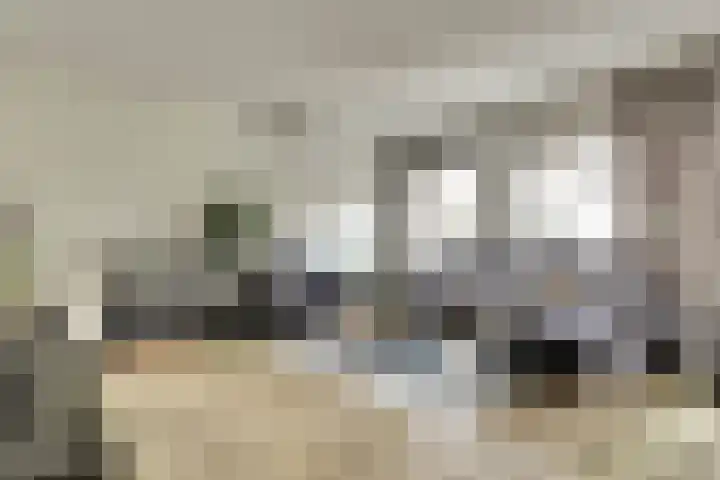 Tuinderspad 3 Schermerhorn thumbnail 6